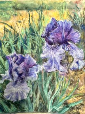 “Violet Irises” -Pastel-available through Artist