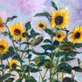   SOLD-Sunflowers at Daybreak - SGH