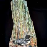 SOLD-Nesting Loon in Reeds