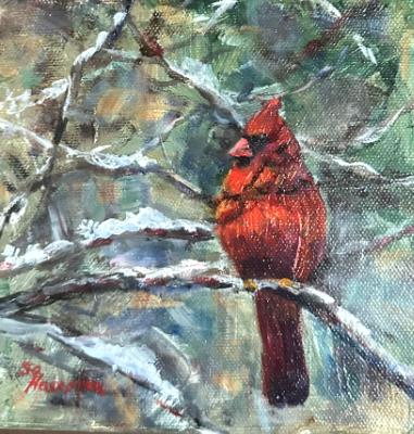 Male cardinal in snowy pines (sold)
