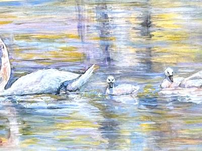 Golden Pond Swans-available through the Ausable Artisan Village  Grayling, Michigan