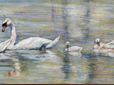 Golden Pond Swans-available through Artisr