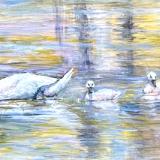 Golden Pond Swans-available through the Ausable Artisan Village  Grayling, Michigan