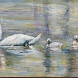 Golden Pond Swans-available through Artisr