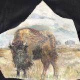 Buffalo-stone, 