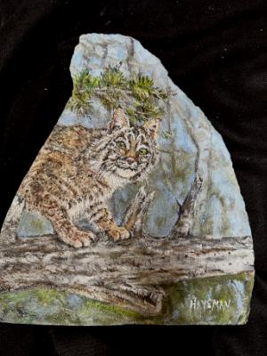 Bobcat on Stone