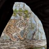 Bobcat on Stone