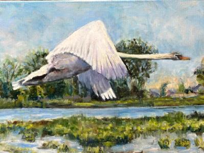 Dermo Bayou Swan-available from Artist