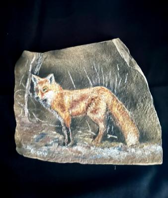 Fox on Stone