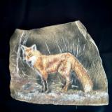 Fox on Stone