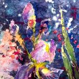 Iris II Watercolor Batik Ltd Edition Prints