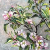 Wall Hugging Crabapple Blooms-Pastel-fernwood 1891 Fennville, Michigan